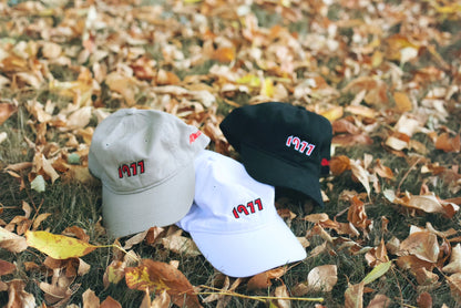 1977 Dad Hat